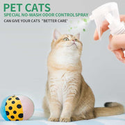 ROZINO Green Power Cat Spray - Odor-Free & Natural Grooming Spray